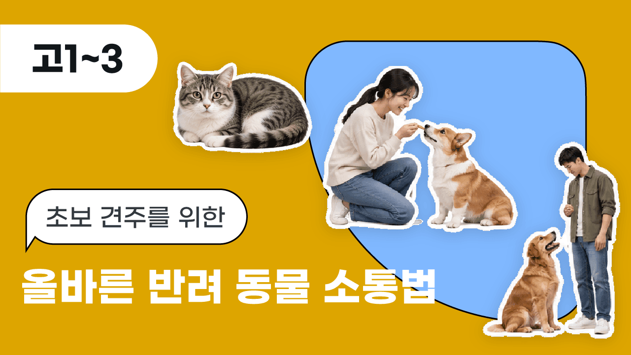 초보 견주를 위한 올바른 반려 동물 소통법