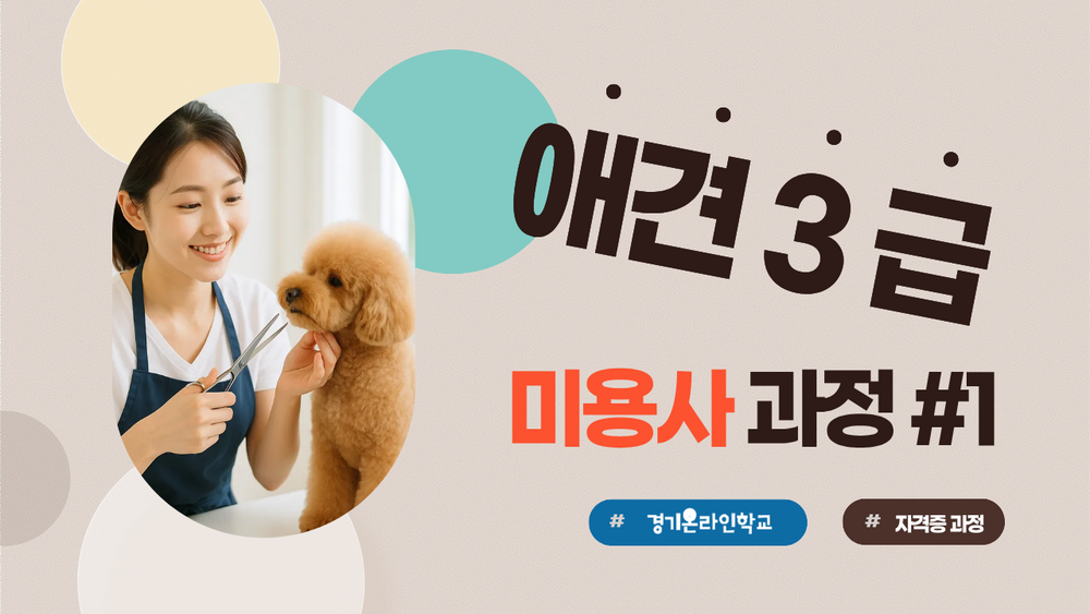 [애견] 미용사 3급 자격증 #1 이미지