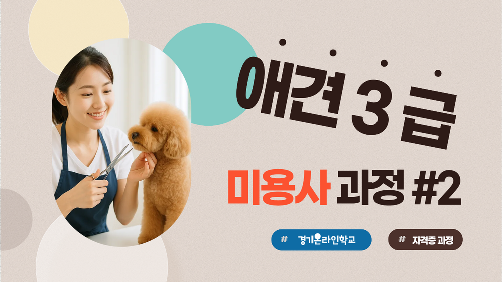 [애견] 미용사 3급 자격증 #2